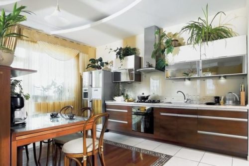 Interior Design for Indoor Plants