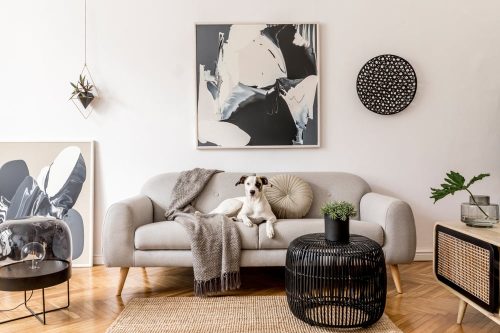 Pet Interior Design: Creating a Stylish and Comfortable Home for Your Furry Friends